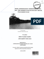 Analisis Multitemporal, (Hidrogeologico-Sedimentol "MIKE" Proyeccion 2019 2059, Dinamica Fluvial DEL RIO Luisa - Area DEL Titulo Minero FCC-818 Vtipo