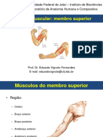 Aula 7 - Sistema Muscular Do Membro Superior
