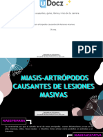 Miasis Artropodos Causantes de Lesiones Masivas 272383 Downloable 674763