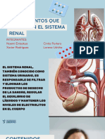 Medicamentos Del Sistema Renal