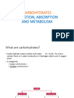 Chapter 3 Carbohydrate 1 DIGESTION ABSORPTION AND METABOLISM