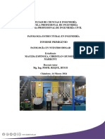 Orientación P-A - CHRISTIAN MACEDA ESPINOZA #03 Actividad de Trabajo Colaborativo-Patologia