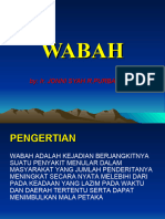 TM-14 Wabah