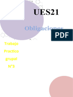 Trabajo Practico Grupal, Numero 3 OBLIGACIONES