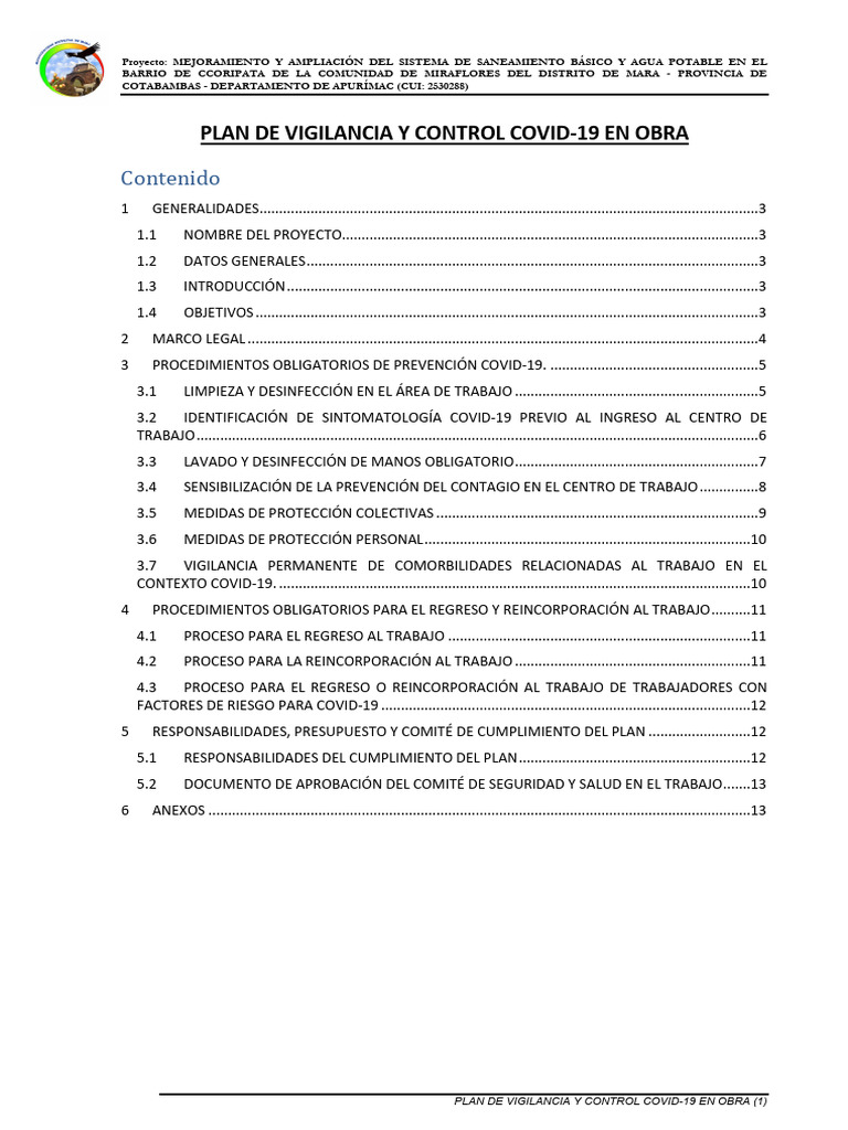 Plan Covid | PDF | Lavado de manos | Medicina