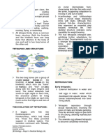 Tetrapods Summary Edited