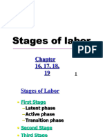 Lecture 13stages of Labor 1