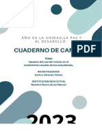 Registro Diario de Campo