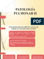 Pulmonfinal 140903230448 Phpapp02