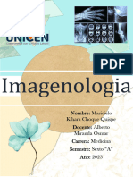 Imagenologia II - Maricielo Choque