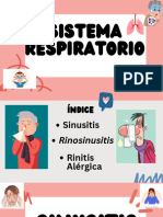 Sistema Respiratorio