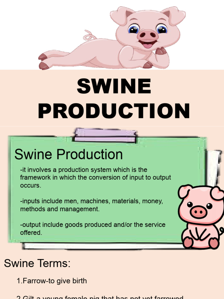 Swine Production Systems and Breeds | PDF | Cooking, Food & Wine ...