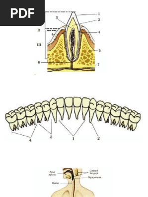 Үш гей бір уақытта бір-бірін сиқыған видео