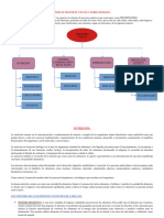 SISTEMAS DEL CUERPO HUMANO - Clasificación - Actividad 2