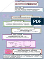 Infografía - Espermatogénesis y Ovogénesis