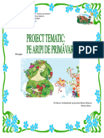 8 Proiect Tematic Primavara