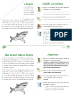 The Great White Shark Activity Card