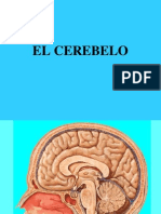 CEREBELO