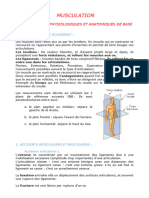 Théorie MUSCULATION