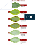 fs_plant nutrient deficiencies.docx