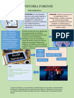 Doc1INFOGRAFIA DE AUDITORIA