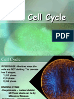 4cell Cycle