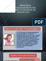 2-Principios Psicopedagógicos Del Currículum Escolar Paraguayo.
