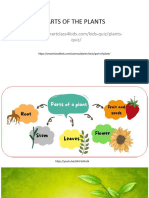 SCIENCE Parts of The Plants