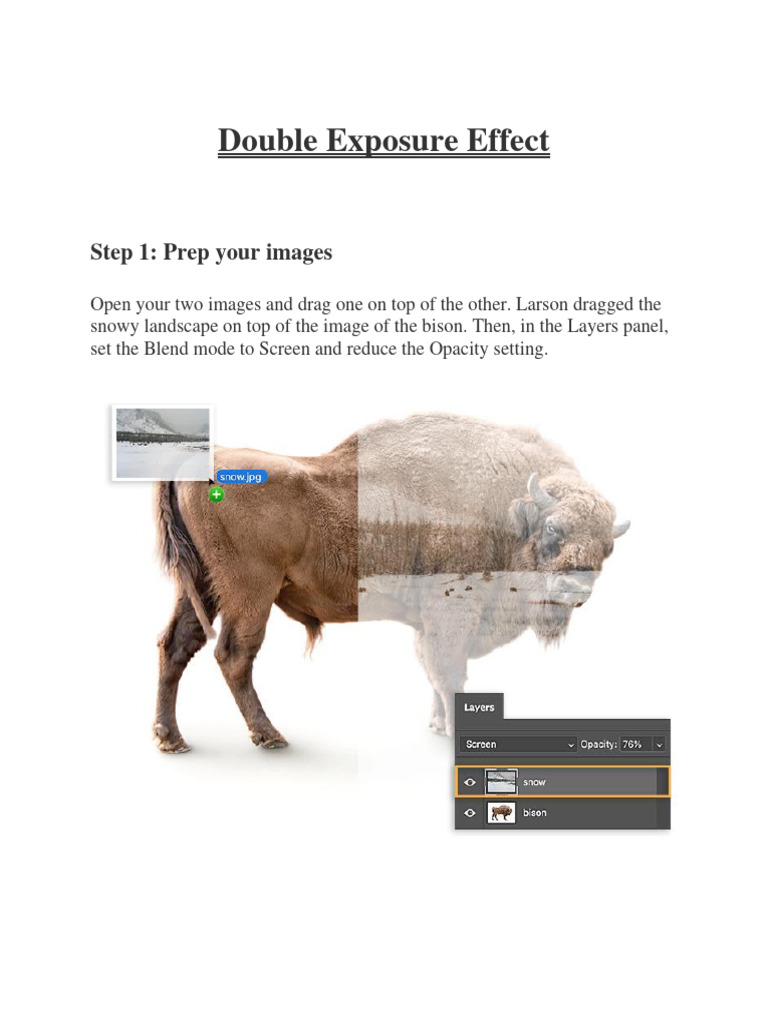 Double Exposure Photography Tutorial | PDF