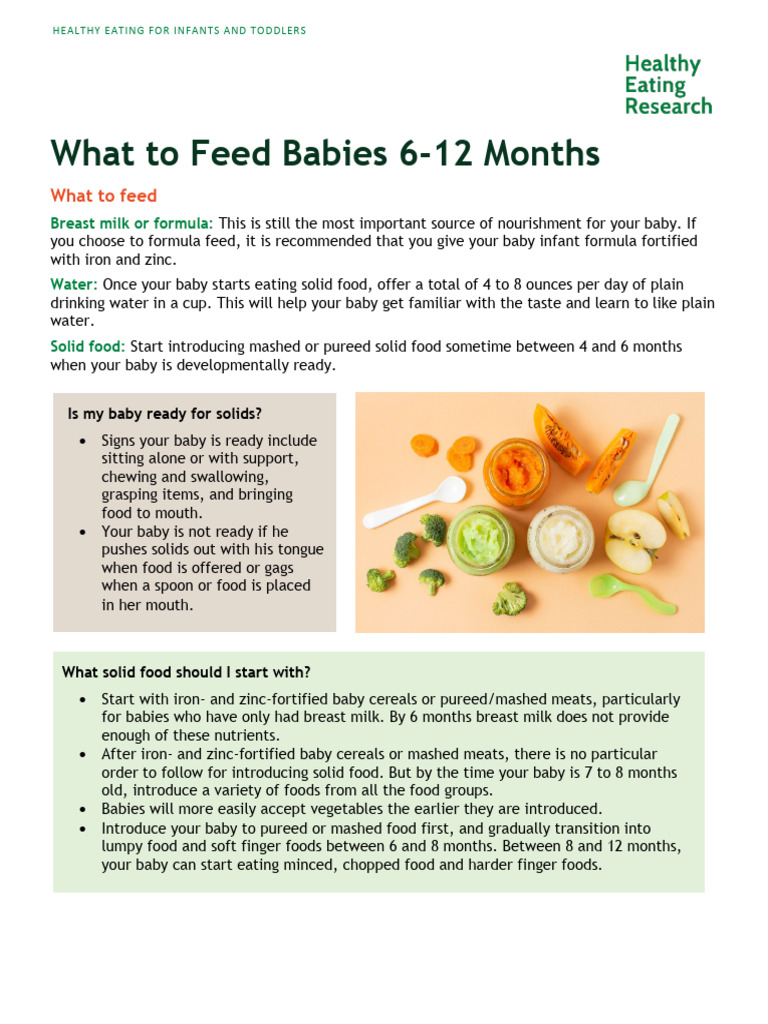 Fresh Look at What To Feed 6 12 Month Olds Pdf Foods