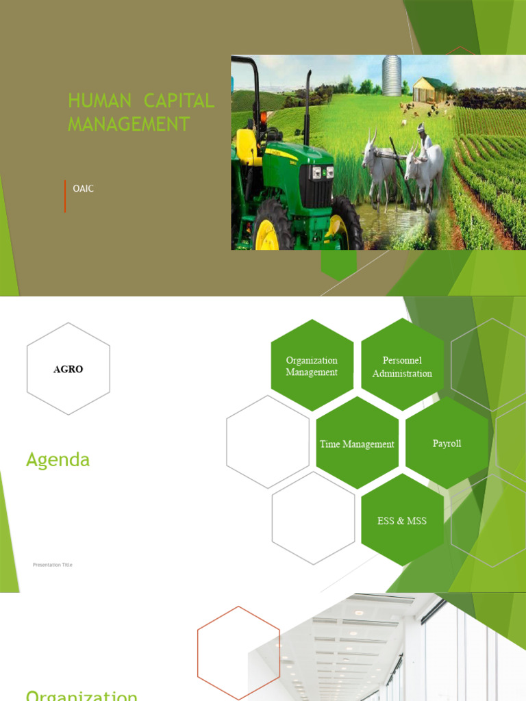 Human Capital Management | PDF | Electronic Business | Business Economics