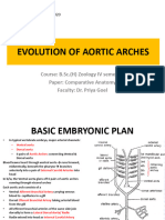 EVOLUTION OF AORTIC ARCHES 18.03.2020 and 20.03.2020