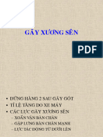 Gay Xuong Sen