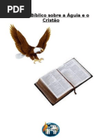 Estudo_Voando e agindo como a Águia