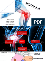 rodilla (1)