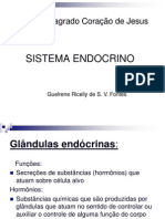 Endocrino (1)