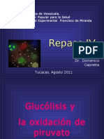 Glucolisis y Oxidacion de Piruvato