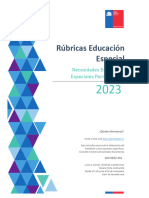 Abrir Rubricas Educacion Especial NEEP 2023