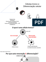 diferenciação e células tronco Biomol da célula 23-05-2019