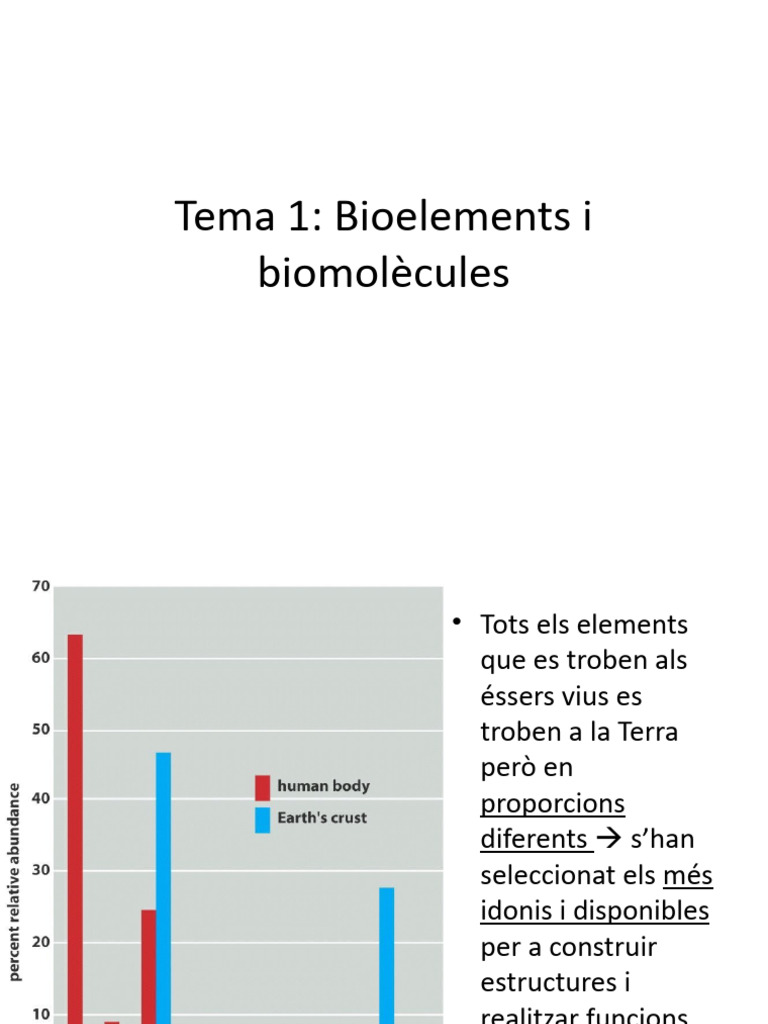 T1 Biomolec 3 | PDF