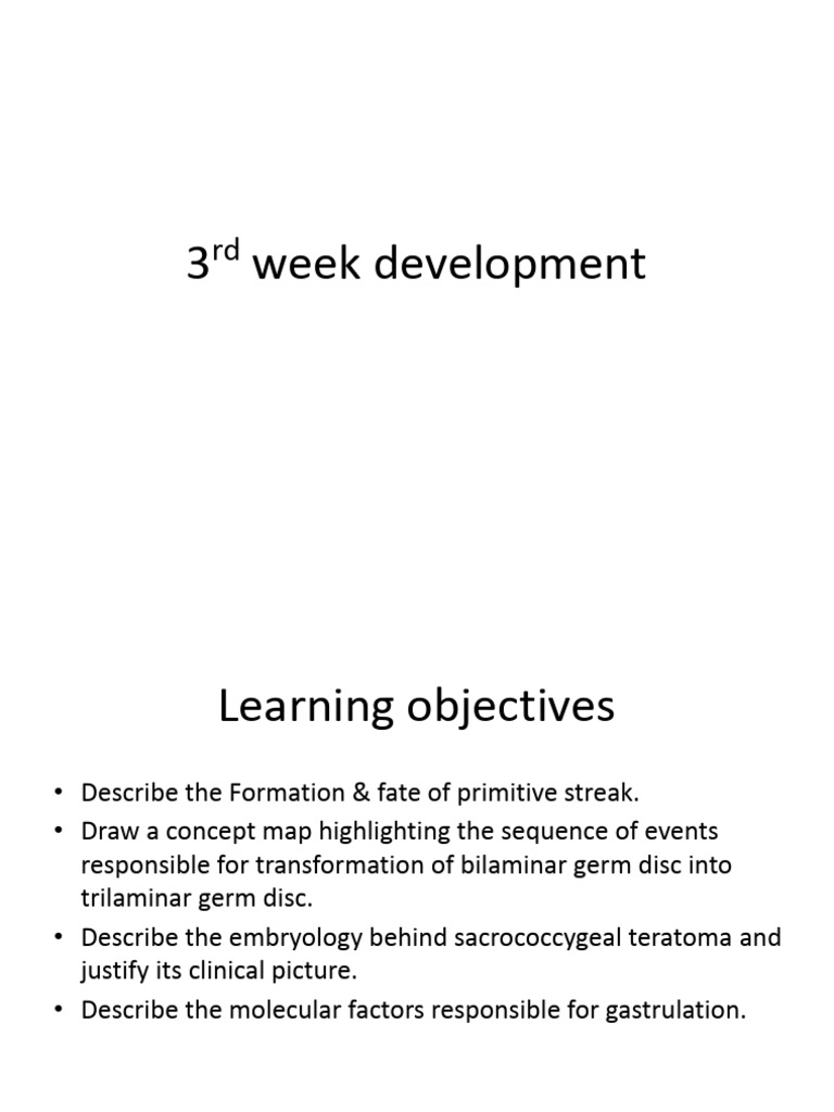 3rd Week Development | PDF | Nervous System | Anatomy
