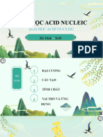 Hóa Học Acid Nucleic