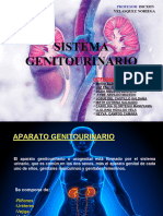 Sistema - Genitourinario PPT Iiid