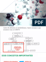 Metabolismo Energético