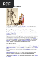 Anatomía humana