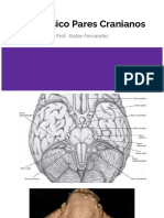 Exame Físico Pares Cranianos