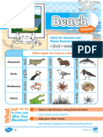 Beach Habitat Differentiated Reading Comprehension Activity