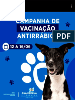 Ananindeua- Vacinação antirrábica