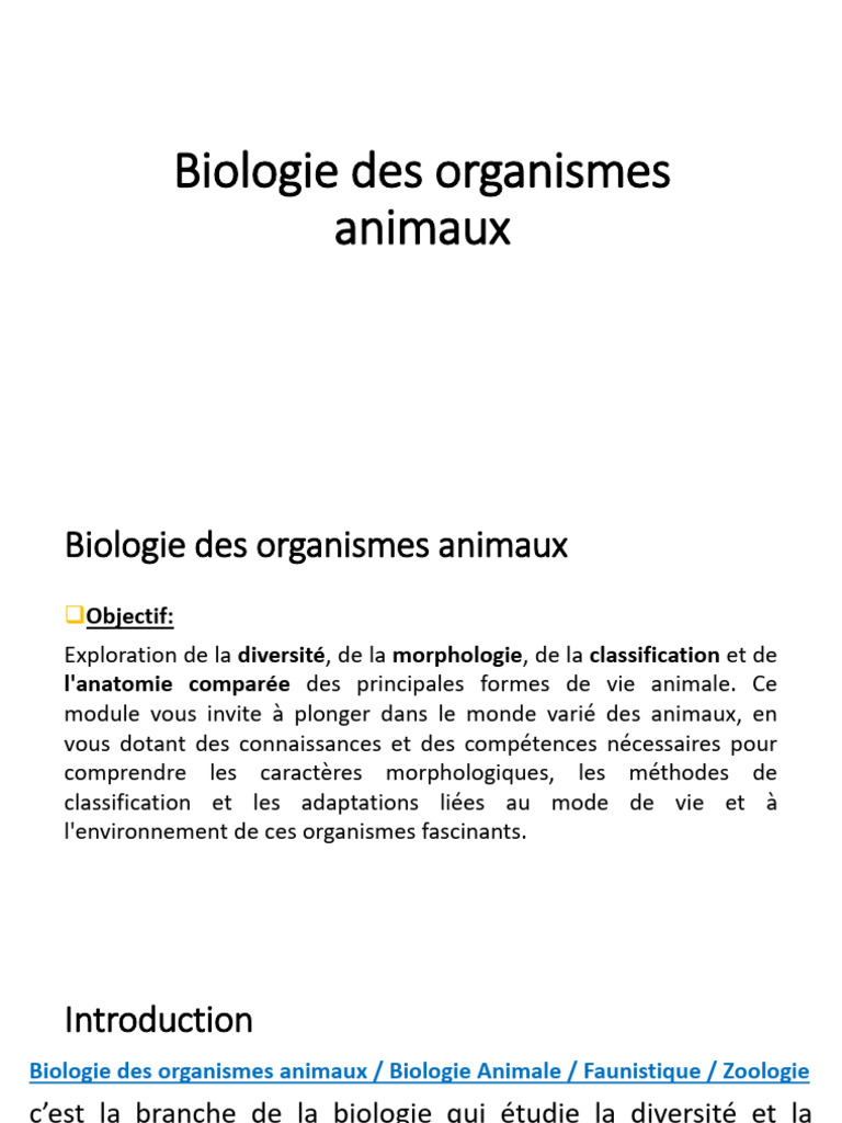 Biologie et Classification des Animaux | PDF | Espèces | Éponge