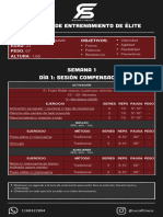 Programa Elite (Mes 1) Agustin Esquivel